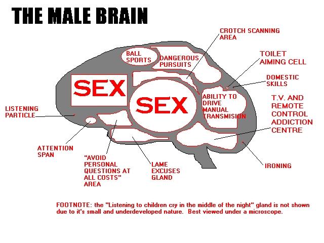 Male And Female Brainspicsd D Jokes Etc Nigeria 1523