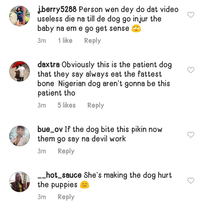 Little Boy Attacked By A Dog For Dragging Its Puppies, Nigerians React