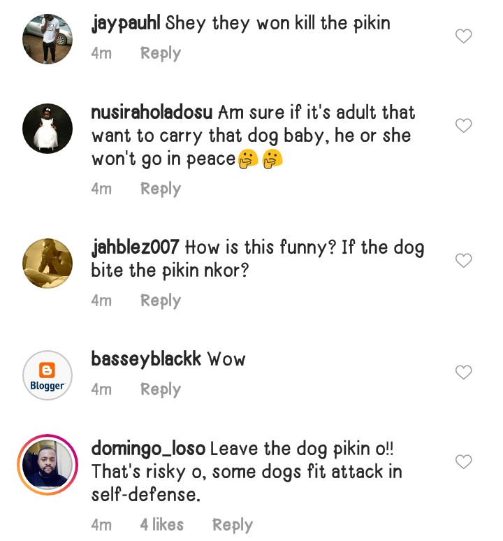 Little Boy Attacked By A Dog For Dragging Its Puppies, Nigerians React