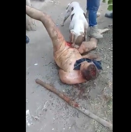 Men Allow Dogs To Eat Up A Man Dick After Raping A Lady. VID
