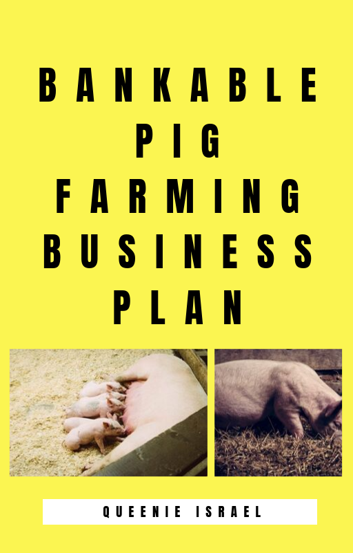 business plan for pig farming in nigeria