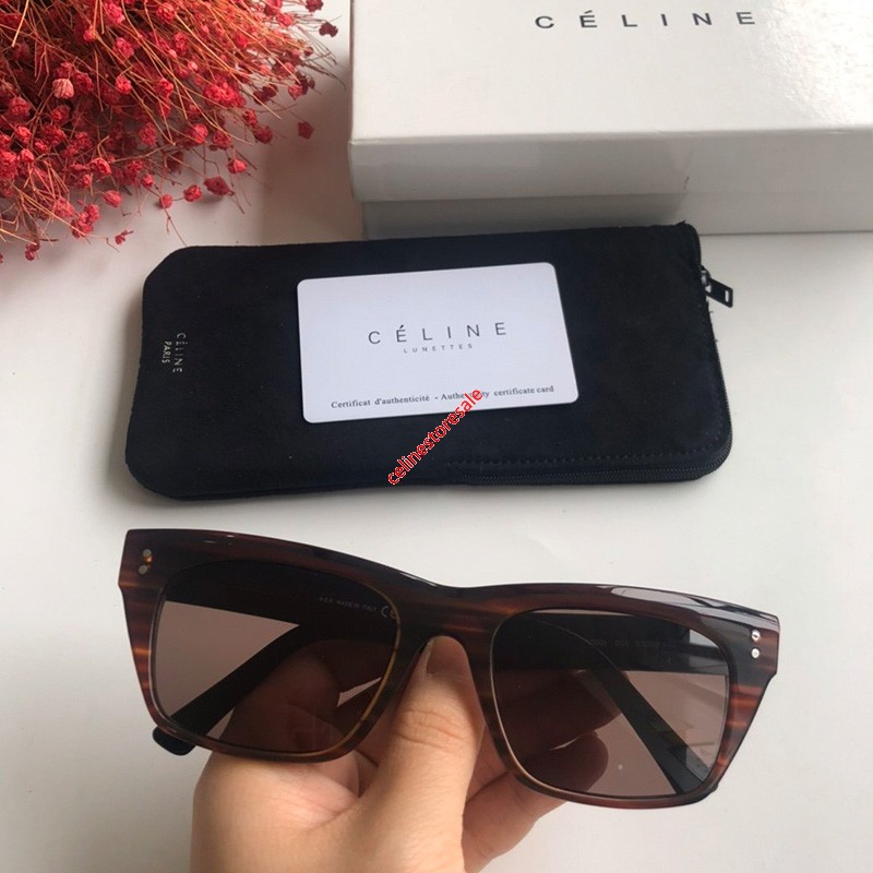 Celine black clearance frame