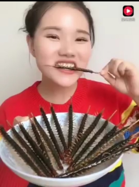 Chinese Girl Eats Bugs Says She Loves Its Crunchy Taste