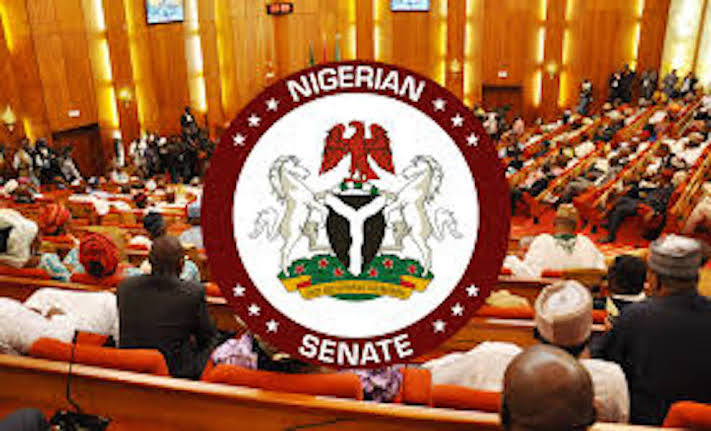  Nigerians Reject Immunity For Senate President, Speaker, Others