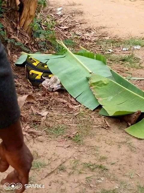 Ritualist Caught With A Womans Head In Akwa Ibom State Graphic Video And Pics Crime Nigeria 7854