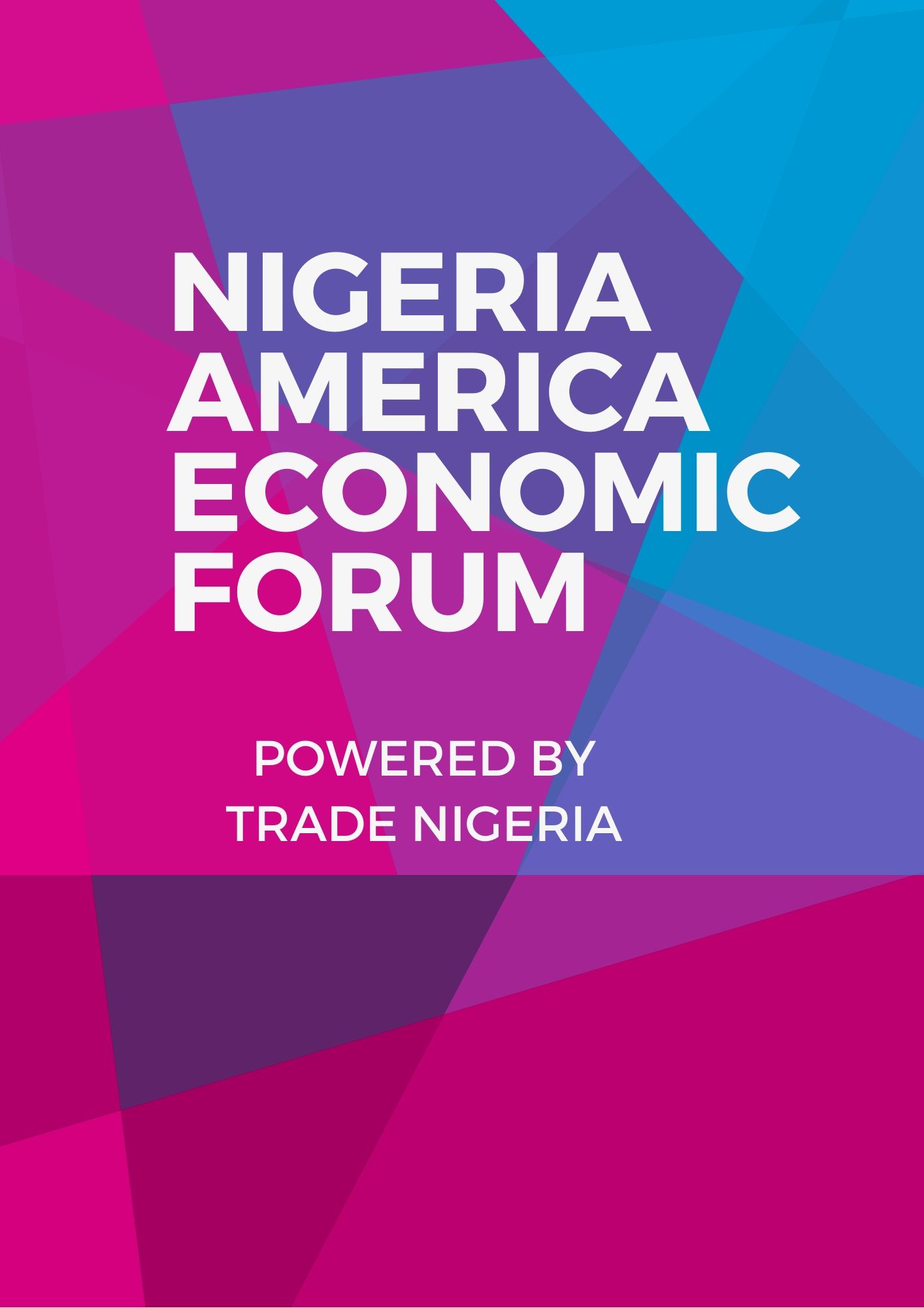 Nigeria America Economic Forum - Nairaland / General - Nigeria