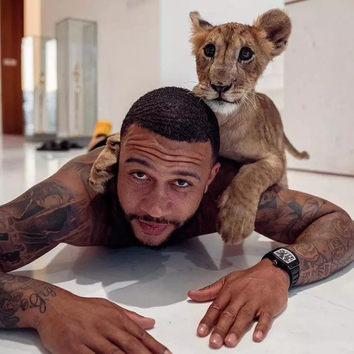 See The Football Player Who Has A Lion As A Pet - Sports - Nigeria