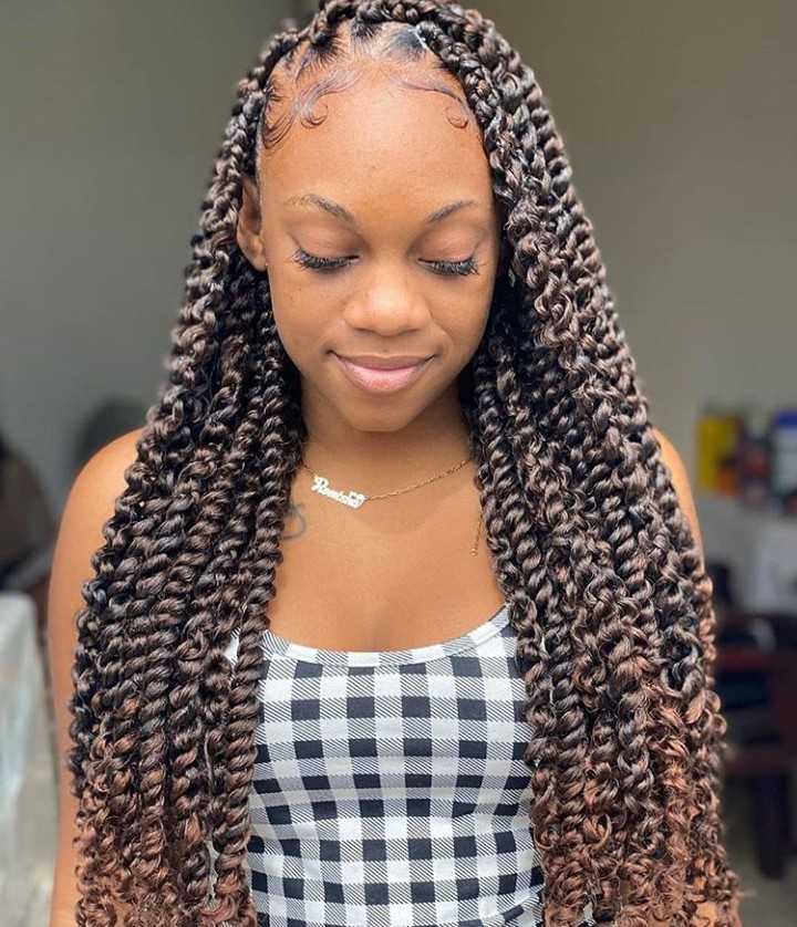 The 52 Hottest Twist Braid Styles Trending in 2024