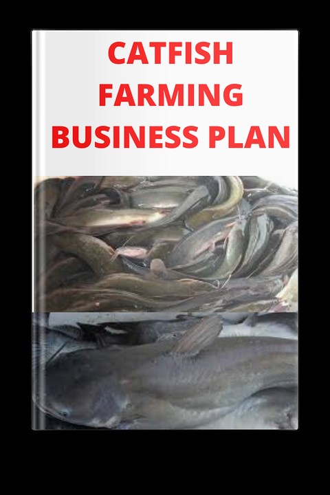 cat fish business plan