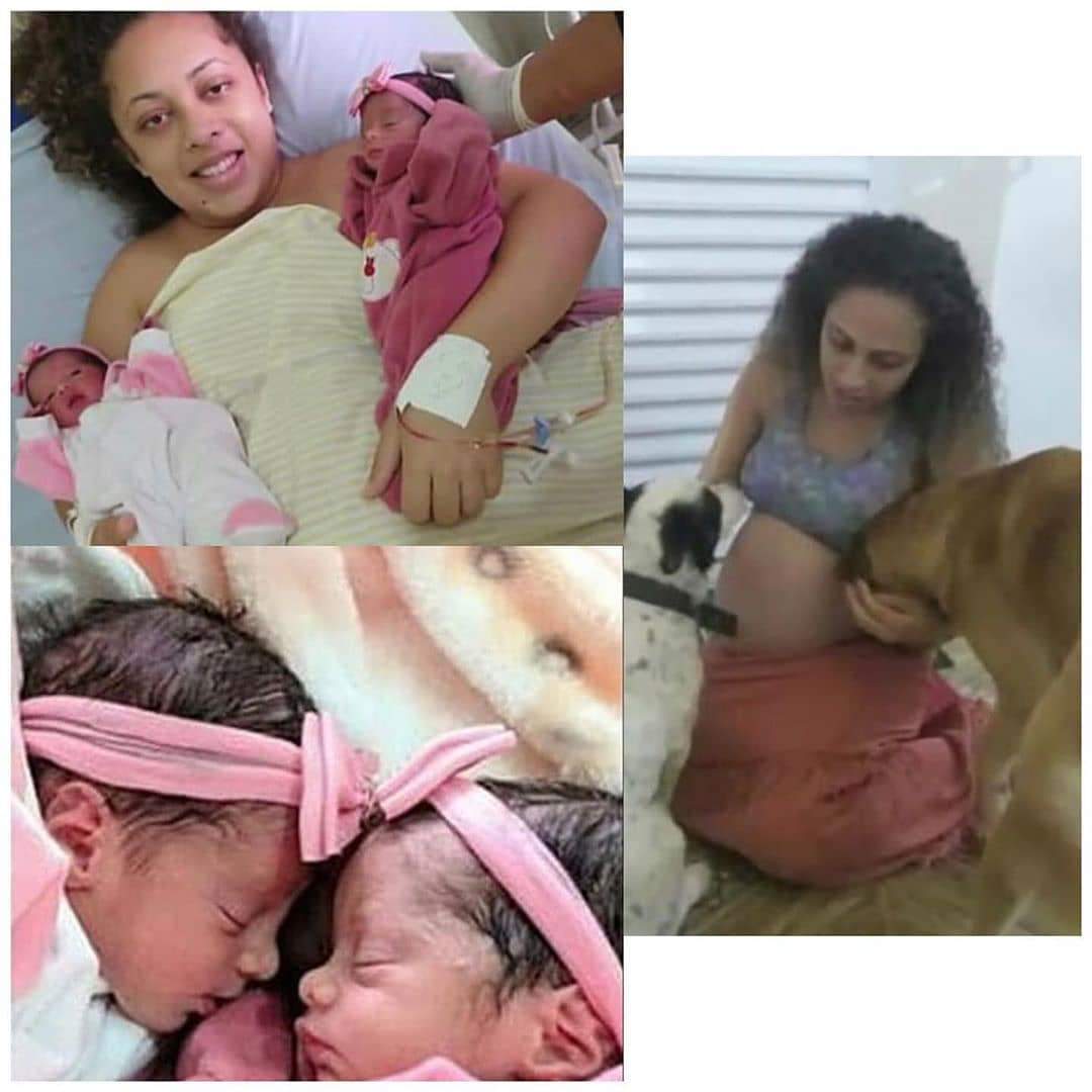 Jealous Dog Kills Newborn Twin Babies Pets Nigeria