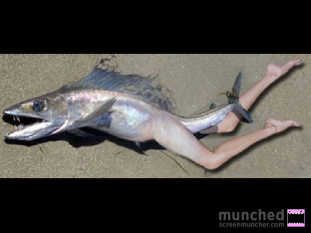 half human half fish creature