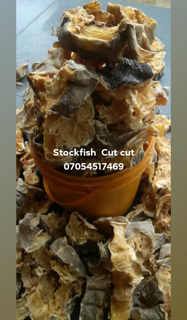 Stockfish head - Isi Okporoko