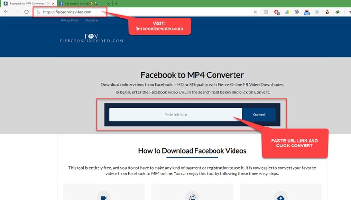 How To Download HD Facebook Videos Online For Free - Science/Technology -  Nigeria