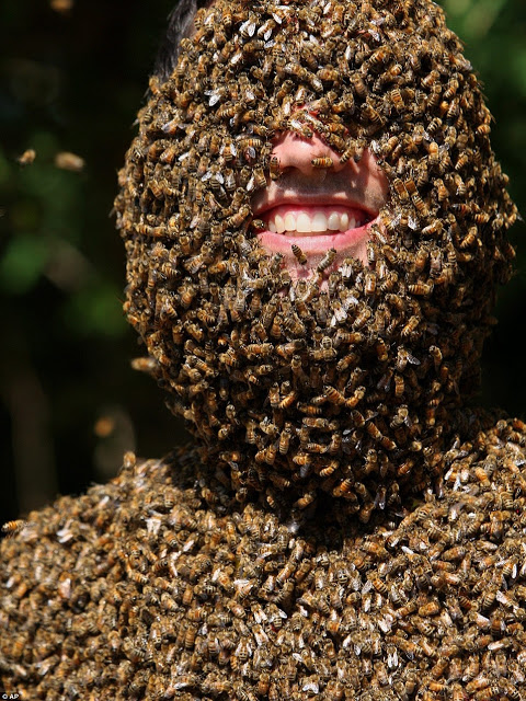 Man Covered With Biggest Number Of Stinging Bees (pictures