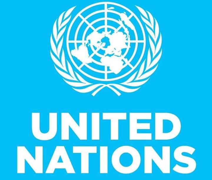 UN Demands Immediate Release Of Katsina School Boys - Politics - Nigeria