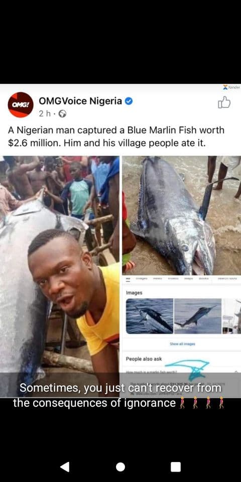 A local Nigerian Fisherman captured a Blue Marlin Fish reportedly worth  $2.6 million but ate it with his friends.