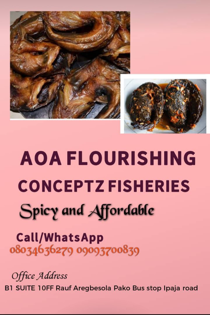 Aoa.flourishing Conceptz Smoked Packaged Catfish. Food Nigeria