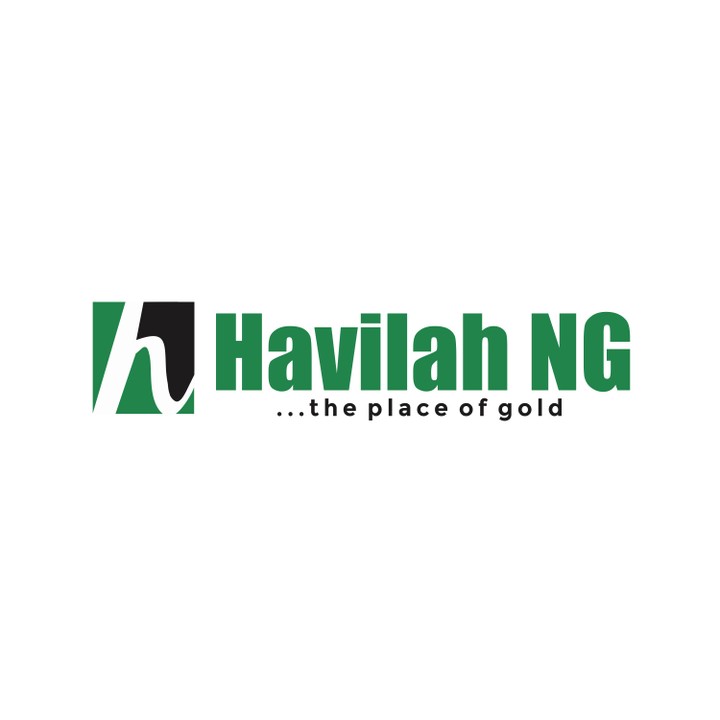 Operations Manager - Havilah Ng Business Solutions - Jobs/Vacancies ...