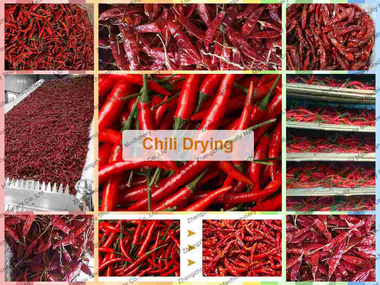 Industrial Red Chili Pepper Drying Machine