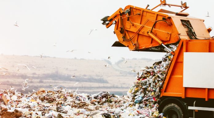 man throw away hard drive with bitcoins to dollars