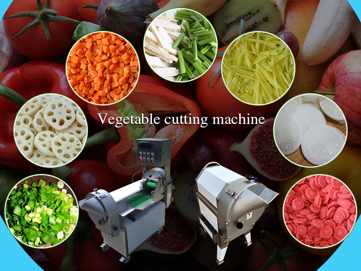 Spinach Cutter Leek Cutting Machine Celery Chopper Okra Cutting Machine -  China Spinach Cutter Leek, Leek Cutting Machine