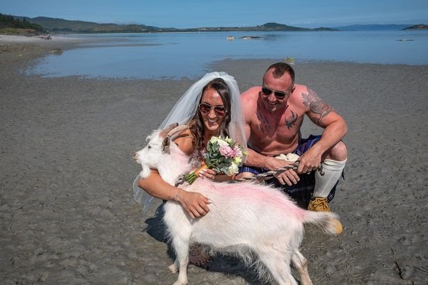 Scots Couple Wed Ditch Clothes And Invite Island Goat As Only Guest