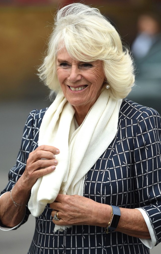 Duchess Of Cornwall Now Patron Of Nigeria S Sex Assault Center Health