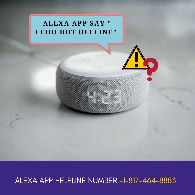 How To Solved The Alexa App Say " Echo Dot Offline" Issues - Technology  Market - Nigeria