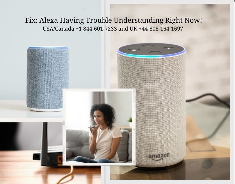 How To Fix The: Alexa Having Trouble Understanding Right Now ! Problem -  Technology Market - Nigeria