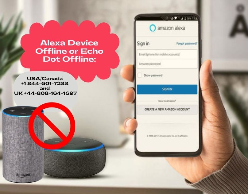 Alexa Device Offline Or Echo Dot Offline Problem Solved It - Technology  Market - Nigeria