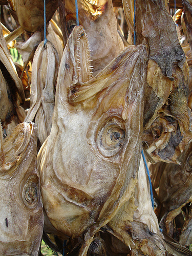 How did stockfish come into Nigeria?