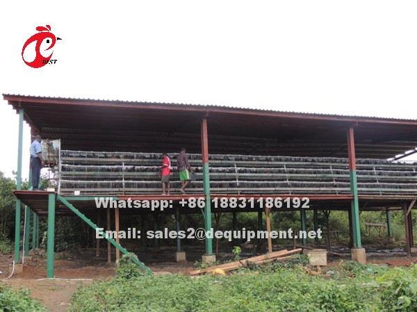 Chicken Net And Galvanized Wiremesh Dealer in Agege - Farm Machinery &  Equipment, Dekoraj Integrated Nig Ltd