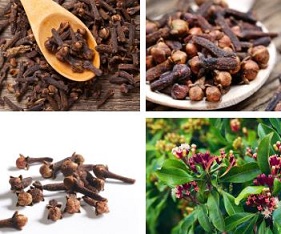 10 Amazing Benefits Of Cloves Sexually For Men And Women - Health - Nigeria