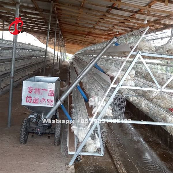 Chicken Net And Galvanized Wiremesh Dealer in Agege - Farm Machinery &  Equipment, Dekoraj Integrated Nig Ltd