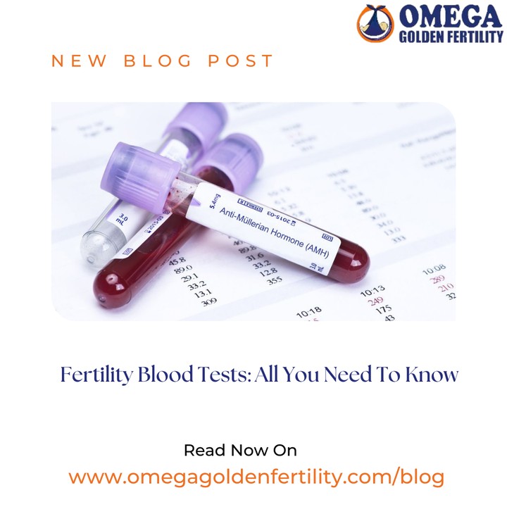 Fertility Blood Tests All You Need To Know Health Nigeria