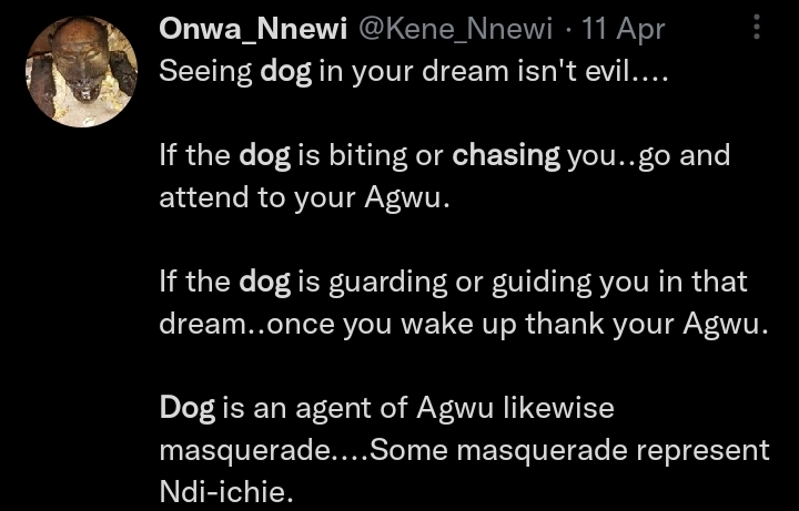 Help!! A Giant Dog Was Chasing Me In My Dream - Romance - Nigeria