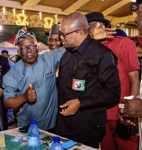 Femi Falana Pictured With Asiwaju Bola Tinubu In Akure [Photos ...