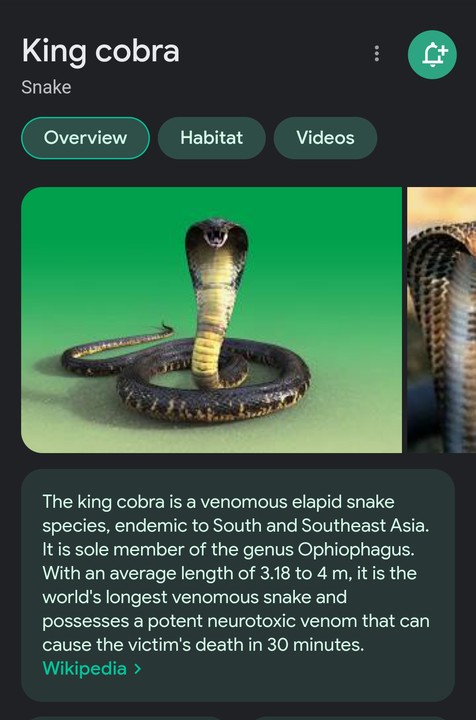 Indian cobra - Wikipedia
