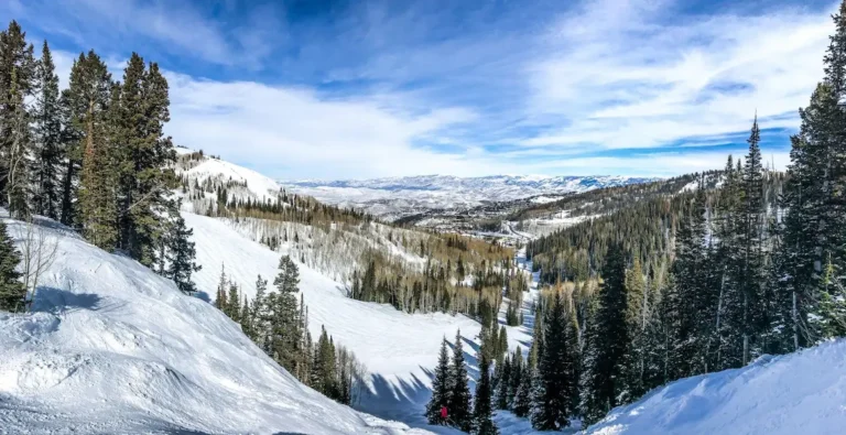 Guardsman S Pass Overlook Discover The Scenic Beauty Of Utah Travel   17471563 Pass4 Webpb4c7f5f10f1aedc13ed21d1fefb5b1ba