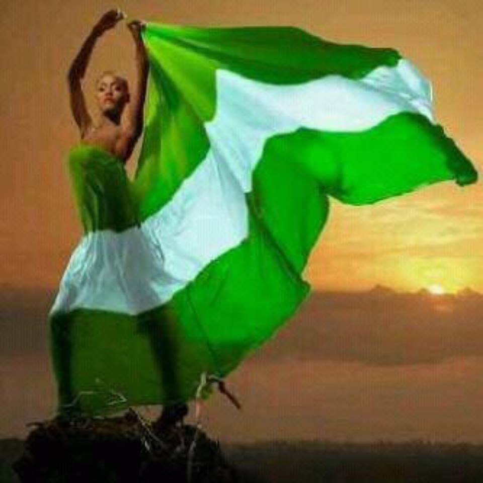 my-blood-is-green-politics-nigeria