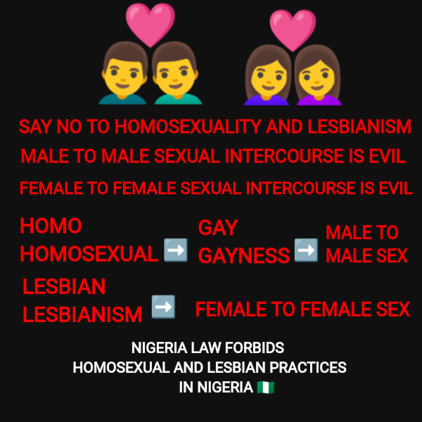 How The Nigerian Police Were Able To Arrest Homosexuals In Lagos Was Commendable Crime Nigeria 4731