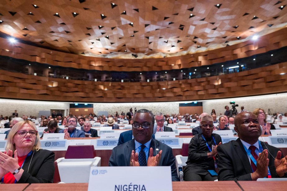 Nigeria Has The Largest Delegation At ILO Conference 2024 Politics