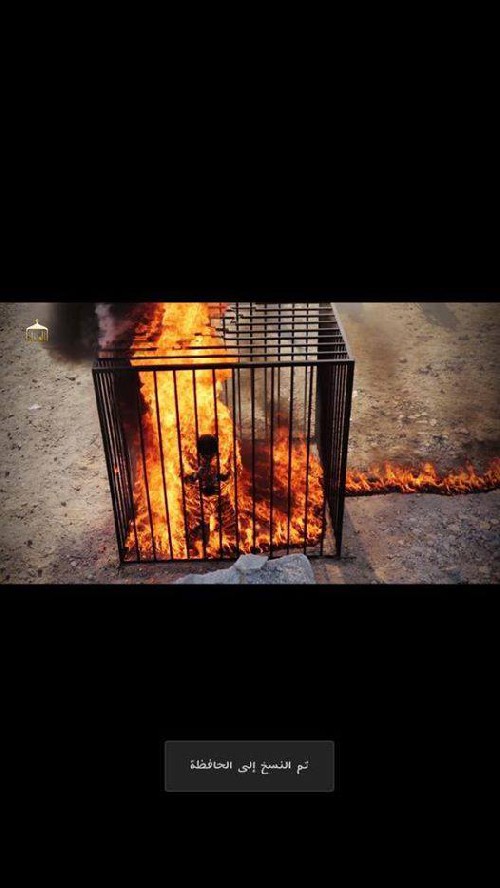 Omg Captured Jordanian Pilot Burnt Alive In A Cage By Isis See Pics Celebrities Nigeria
