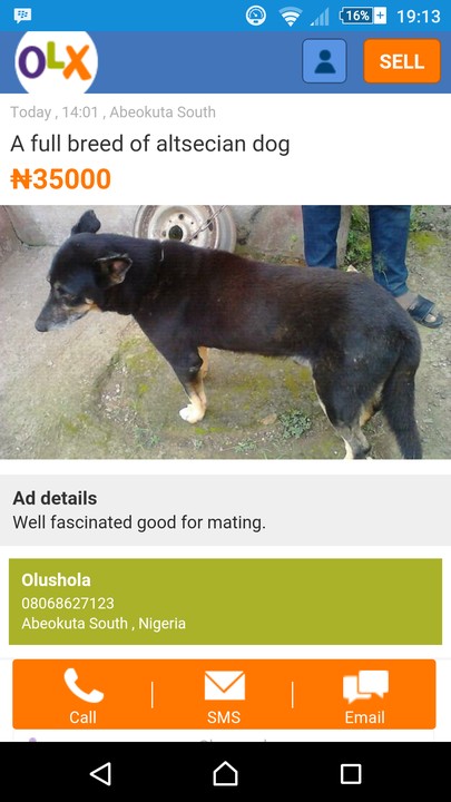 lol pets olx