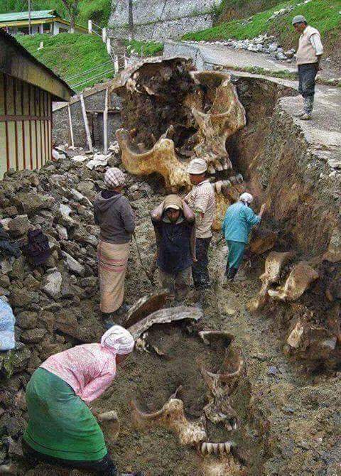 real giants found