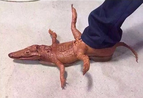 Alligator shoes with store head