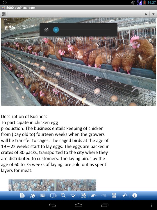 poultry business plan nairaland