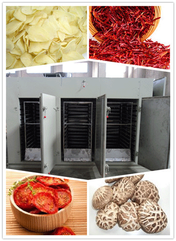 Hot Sale Hot Air Mushroom Drying Machine / Hot Air Vegetable Dryer