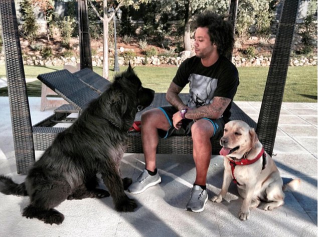 The unseen bond: Footballers and their dogs