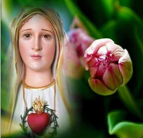 Sunday Prayer To The Blessed Virgin Mary - Religion - Nigeria